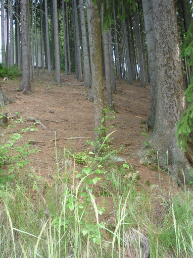Fotogalerie