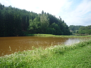 chvoný rybník - Dolce