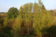 IMG_3845.jpg
