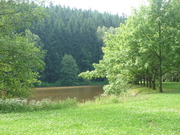 rybník v Dolcích